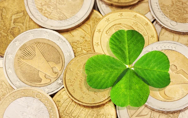 Clover leaf and euro coins — Stock Photo, Image