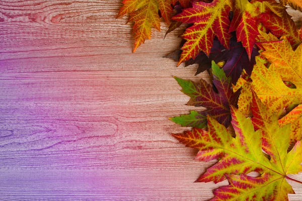 Autumn leaves on wooden background — Stock Photo, Image