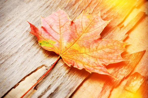Осенний лист на деревянном фоне — стоковое фото