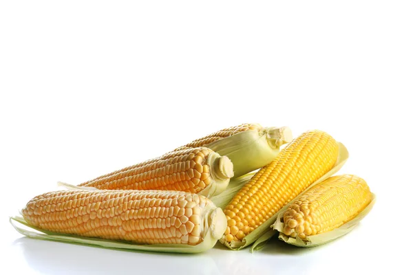 Rijp maïs geïsoleerd op wit — Stockfoto