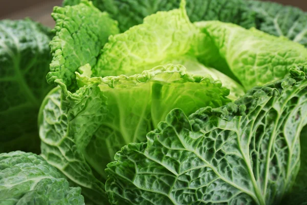 Savoy cabbage background — Stock Photo, Image