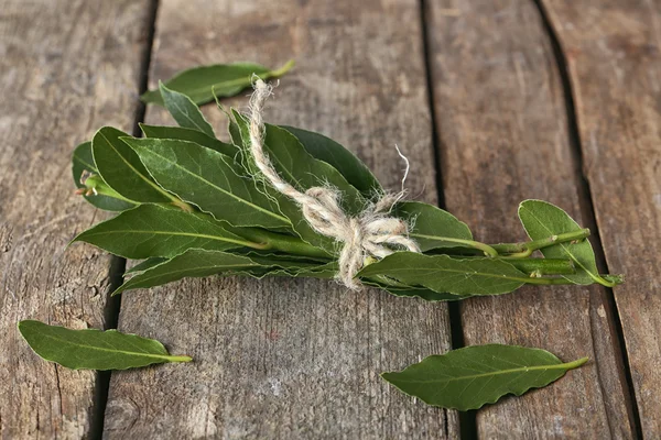Свежие ветки с лавровыми листьями — стоковое фото