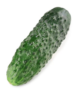 Olgun salatalık üzerinde beyaz izole