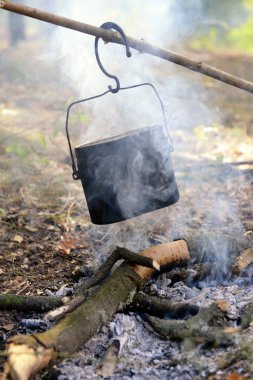 Yanan orman su ısıtıcısı