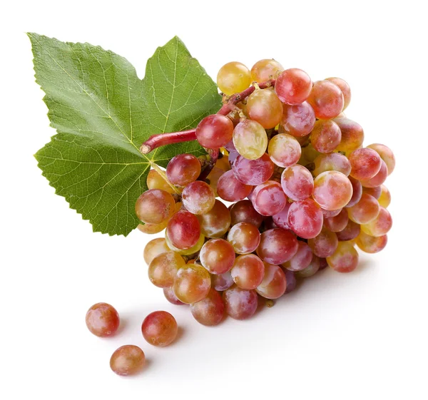 Bündel süßer roter Trauben isoliert auf weißem — Stockfoto