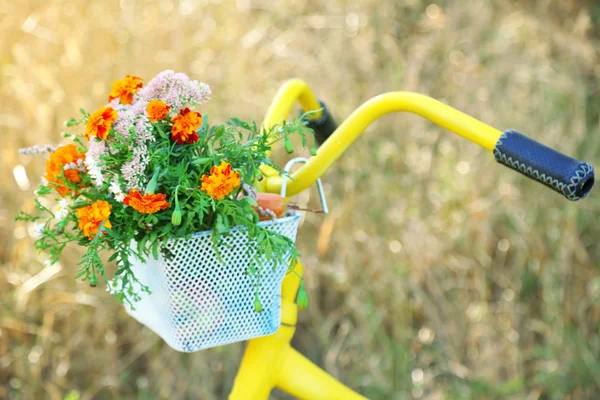Fahrrad mit Blumenstrauß — Stockfoto