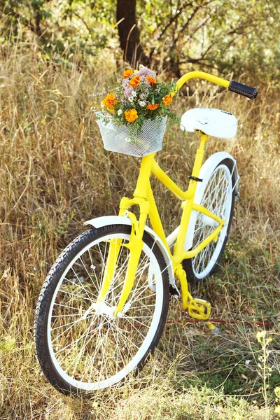 Sykkel med bukett blomster – stockfoto