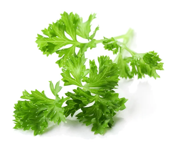 Fresh green parsley — Stock Photo, Image