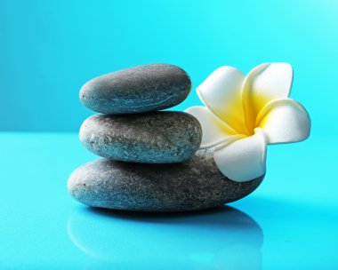 spa taşları ve çiçek