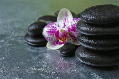 Çakıl taşları ile orkide gri arka plan üzerinde siyah, yakın çekim