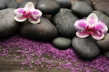Orkide ve tuz closeup taşlarla Spa