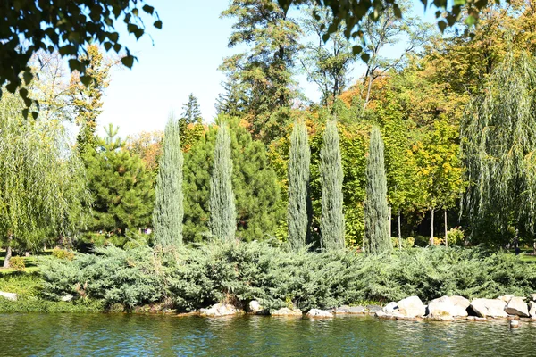 Lago no parque de verão — Fotografia de Stock