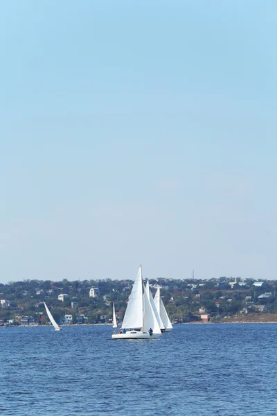 Regata de iates à vela — Fotografia de Stock