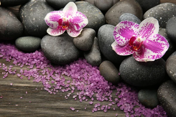 Wellness-Steine mit Orchidee und Salz Nahaufnahme — Stockfoto