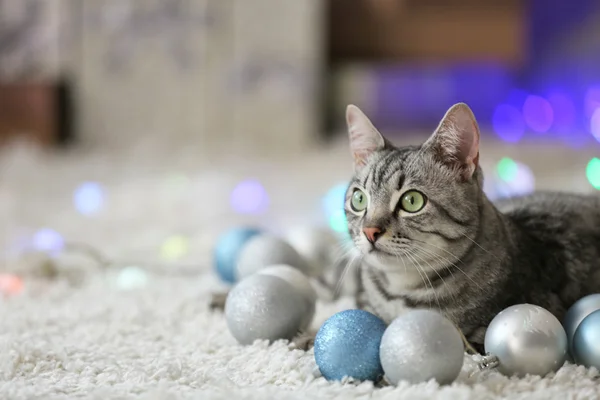 Beau chat près de l'arbre de Noël avec décoration — Photo