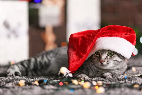 Schöne Katze in der Nähe von Weihnachtsbaum mit Dekoration — Stockfoto