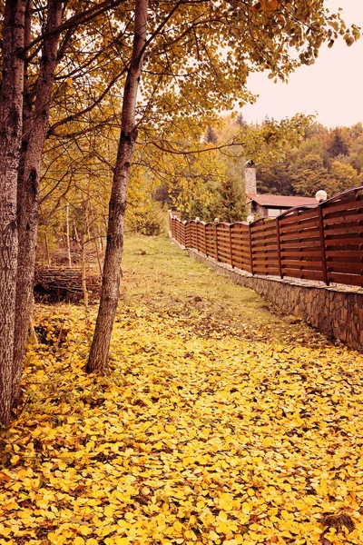 秋の森をフェンスします。 — ストック写真