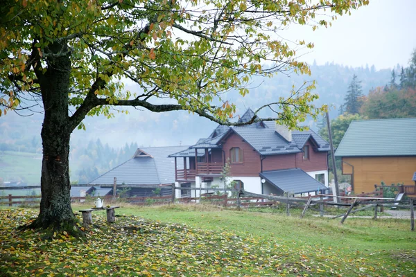 Nebliger Herbstmorgen in den Bergen. Karpaten, Ukraine — Stockfoto