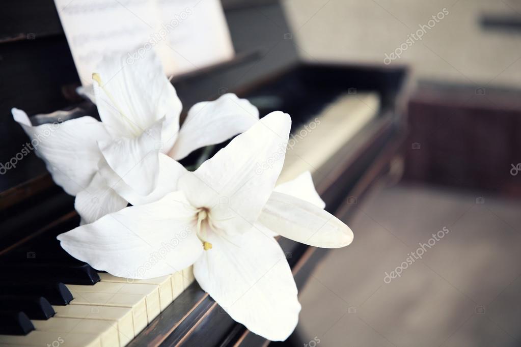 Beautiful flower on piano keyboard
