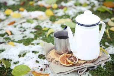 Çim zemin üzerinde mulled şarap bir fincan ile tepsi