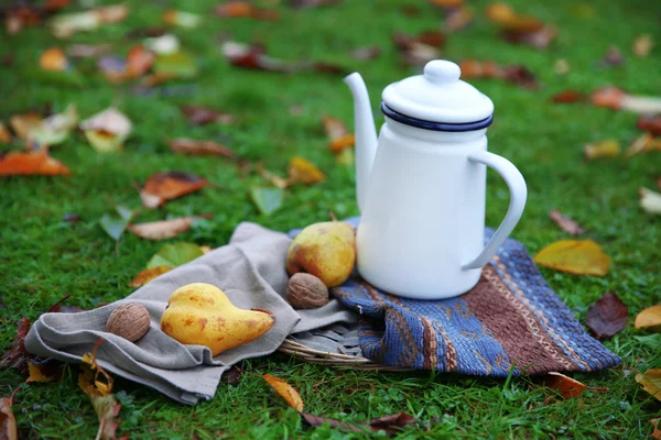 Teekanne, Früchte und Nüsse auf Gras — Stockfoto