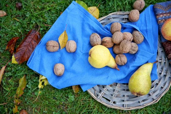 Frutta e noci su stuoia di vimini, su fondo verde erba — Foto Stock