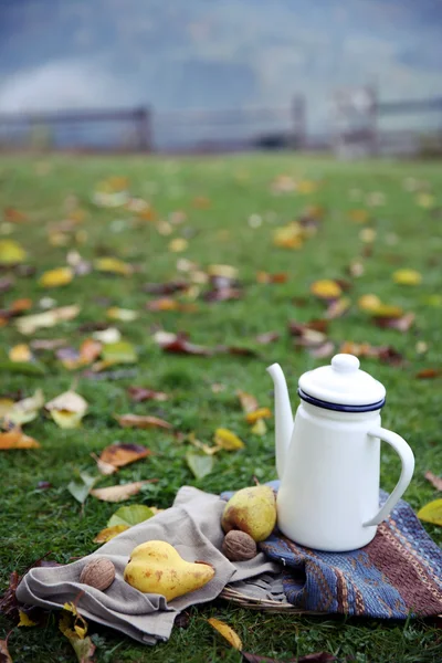 Theepot en noten op gras — Stockfoto