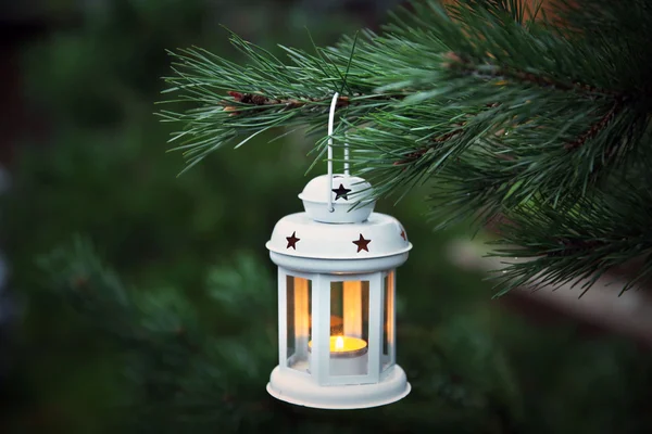 Decorative lantern hanging on fir tree branch — Stock Photo, Image