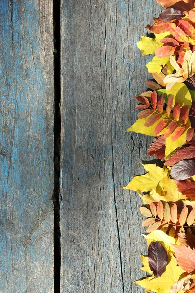 Kolorowe jesienne liście na drewnianym tle — Zdjęcie stockowe