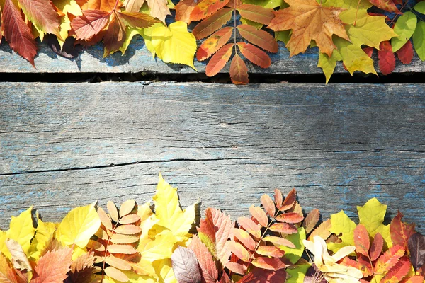 Colorful autumn leaves on wooden background — Stock Photo, Image