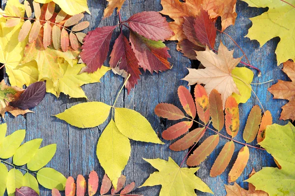 Foglie autunnali colorate su sfondo di legno — Foto Stock