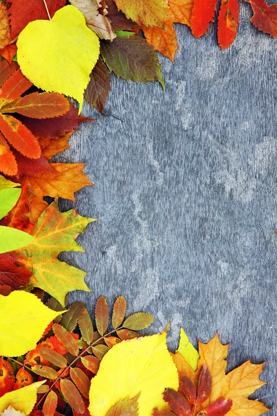 Цветные осенние листья на деревянном фоне — стоковое фото