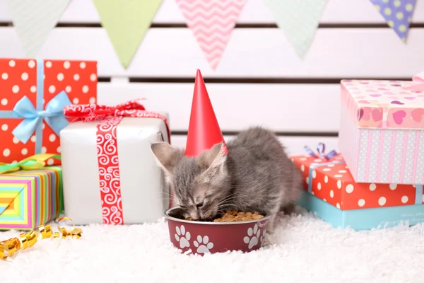 Little grey kitten celebrating birthday — Stock Photo, Image