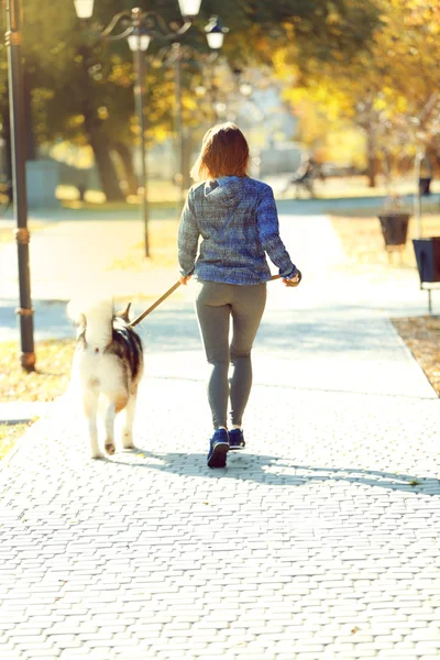 Glückliche junge Frau joggt mit Hund im Park — Stockfoto