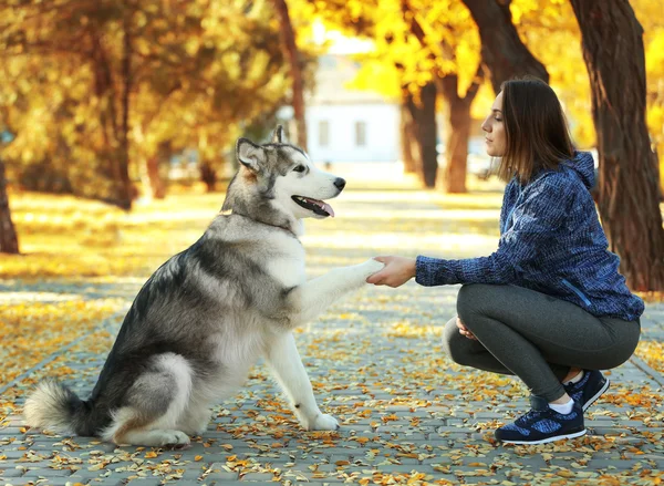 Счастливая молодая женщина гуляет с собакой в парке — стоковое фото