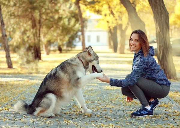 公園の彼女の犬を連れて歩いて幸せな若い女 — ストック写真