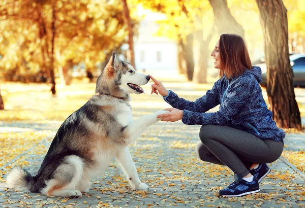 Felice giovane donna che cammina con il suo cane nel parco — Foto Stock