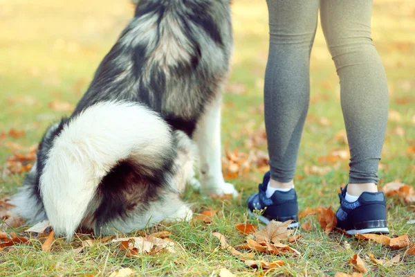 Szczęśliwa młoda kobieta jogging z psem w parku — Zdjęcie stockowe
