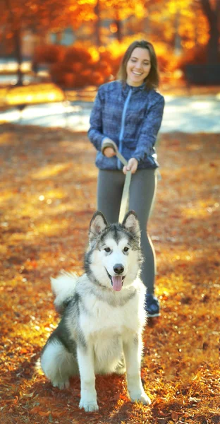 공원에 그녀의 강아지와 함께 산책 하는 행복 한 젊은 여자 — 스톡 사진
