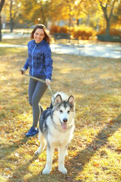 Glad ung kvinna gå med sin hund i park — Stockfoto