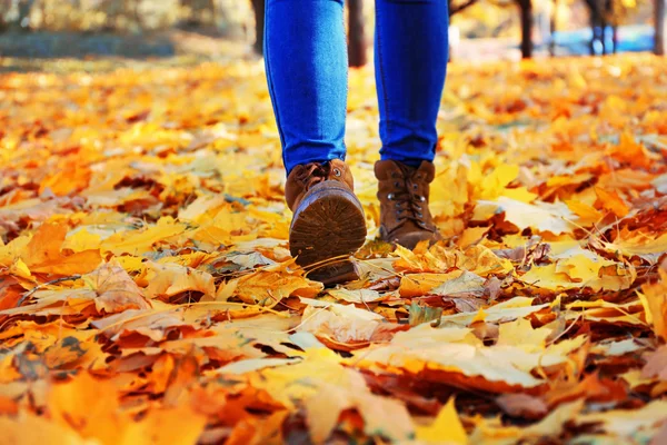 女性的腿，在秋天的落叶的靴子 — 图库照片