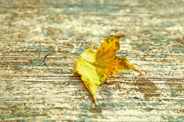 Красивый осенний лист на деревянном фоне — стоковое фото
