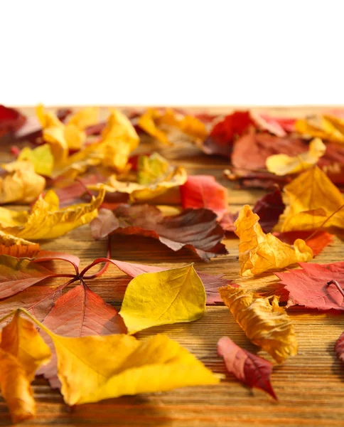 Feuilles d'automne rouges et jaunes sur table en bois, isolées sur blanc — Photo