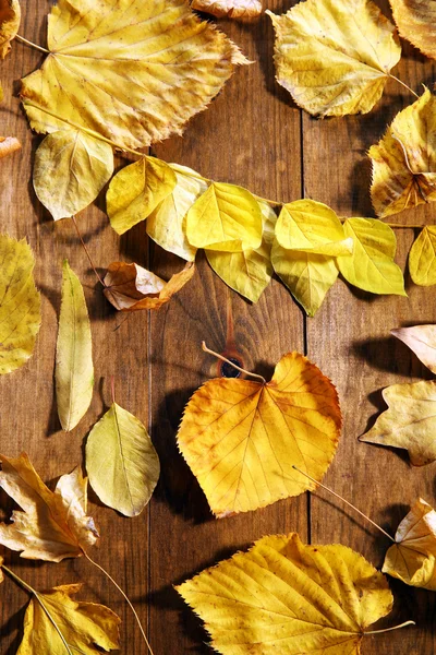 Fond de feuilles d'automne jaunes sur table en bois, gros plan — Photo