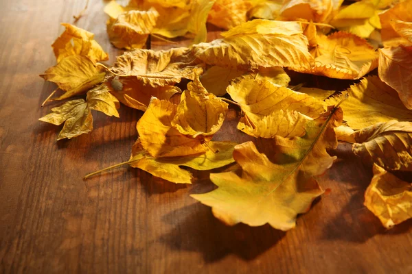 Feuilles d'automne jaunes sur table en bois — Photo