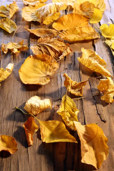 Feuilles d'automne jaunes sur table en bois dans le studio — Photo