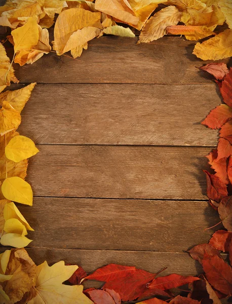 Πολύχρωμο πλαίσιο του φθινοπώρου φύλλα, σε ξύλινο φόντο — Φωτογραφία Αρχείου