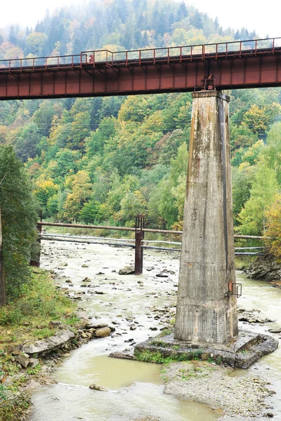 Rio que flui através da floresta — Fotografia de Stock