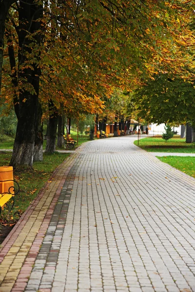 Beautiful autumn park — Stock Photo, Image