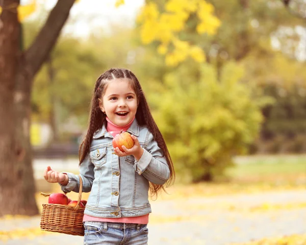 Menina bonita segurando cesta de maçãs, ao ar livre — Fotografia de Stock
